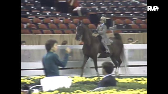 1988 WCHS Class 44 Equitation Open 10...