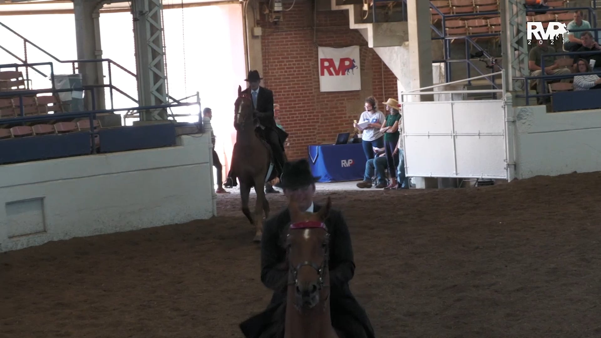 MW21 - Class 61 - ASB Park Horse Three & Under