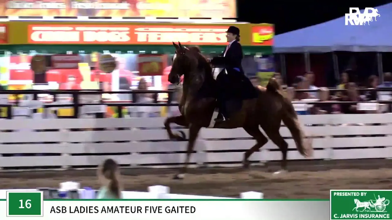 2019 Rock Creek Horse Show Thursday Night Richfield Video Archive