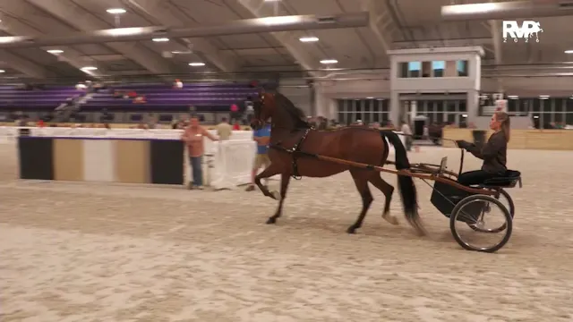 CC26 - Class 157 - Morgan Pleasure Dr...