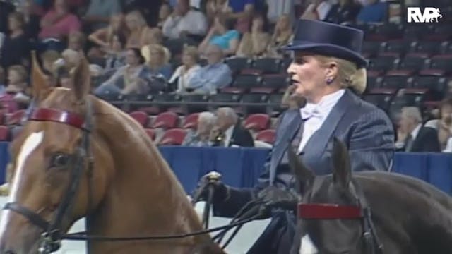 2010 World's Championship Horse Show ...