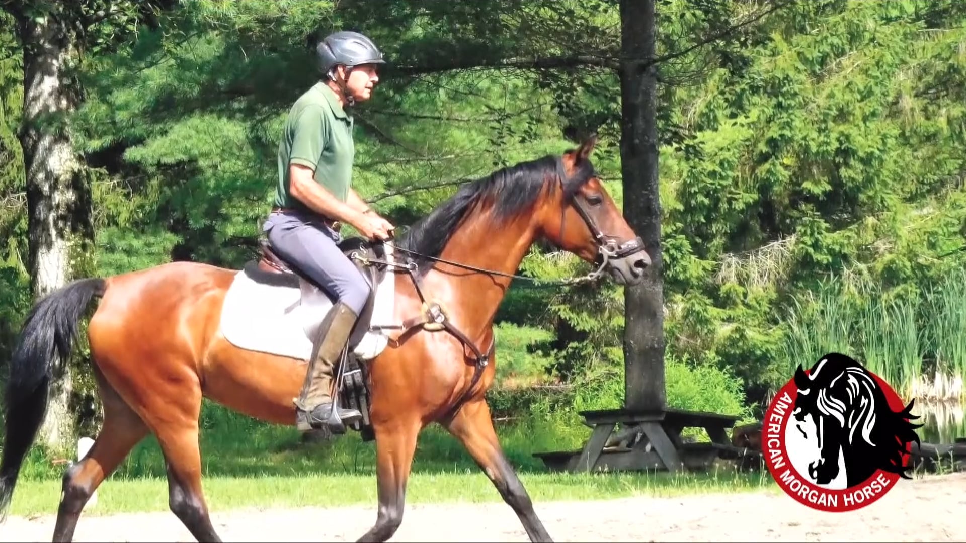 Danny Emmerson - AMHA Dr. Lucine Promoter Award