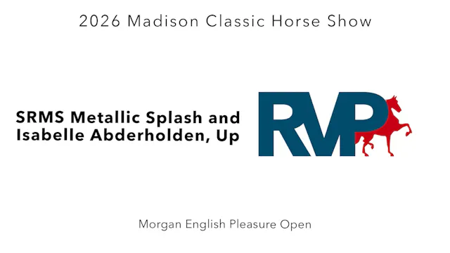 MC26 - Class 20 - SRMS Metallic Splas...