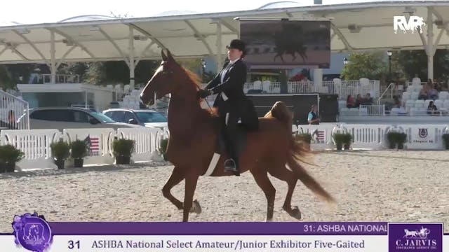 OI25 - Class 31 - ASHBA NSS Amateur:J...