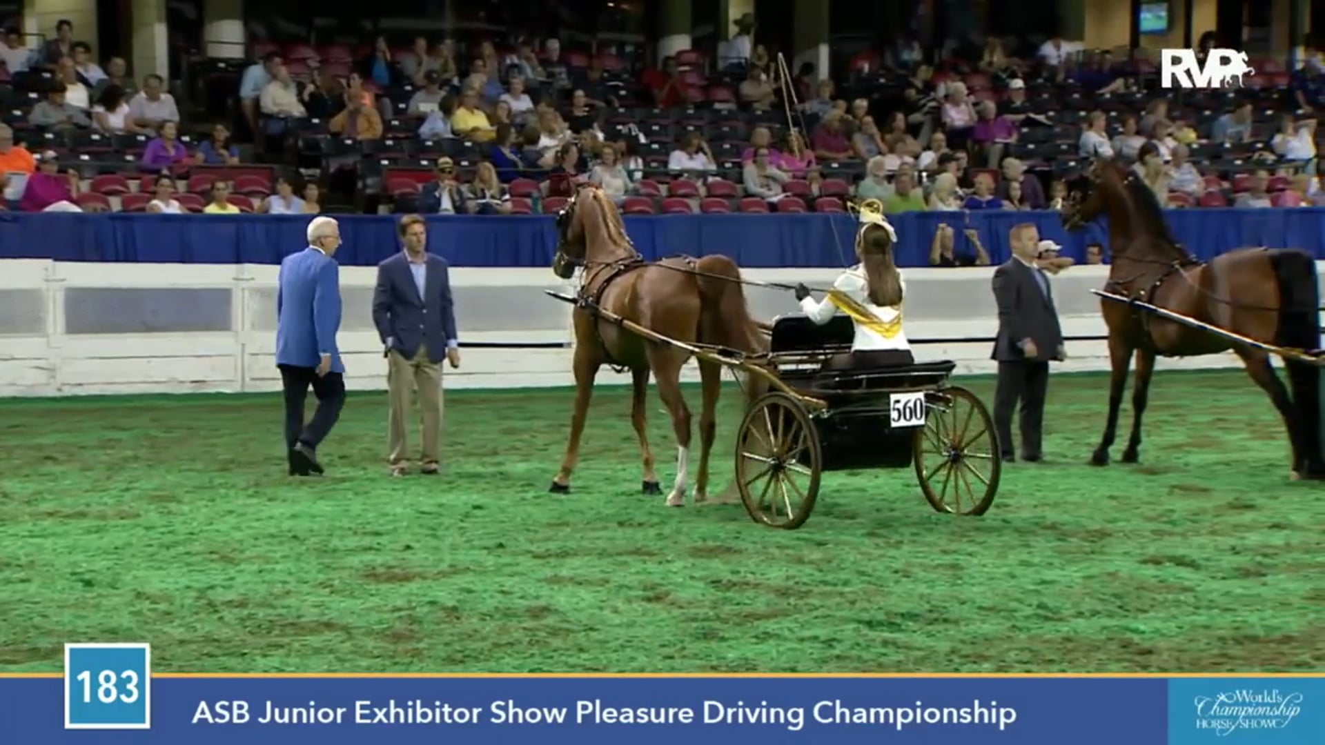2015 WCHS - Class 183 ASB Junior Exhibitor Show Pleasure Driving Championship
