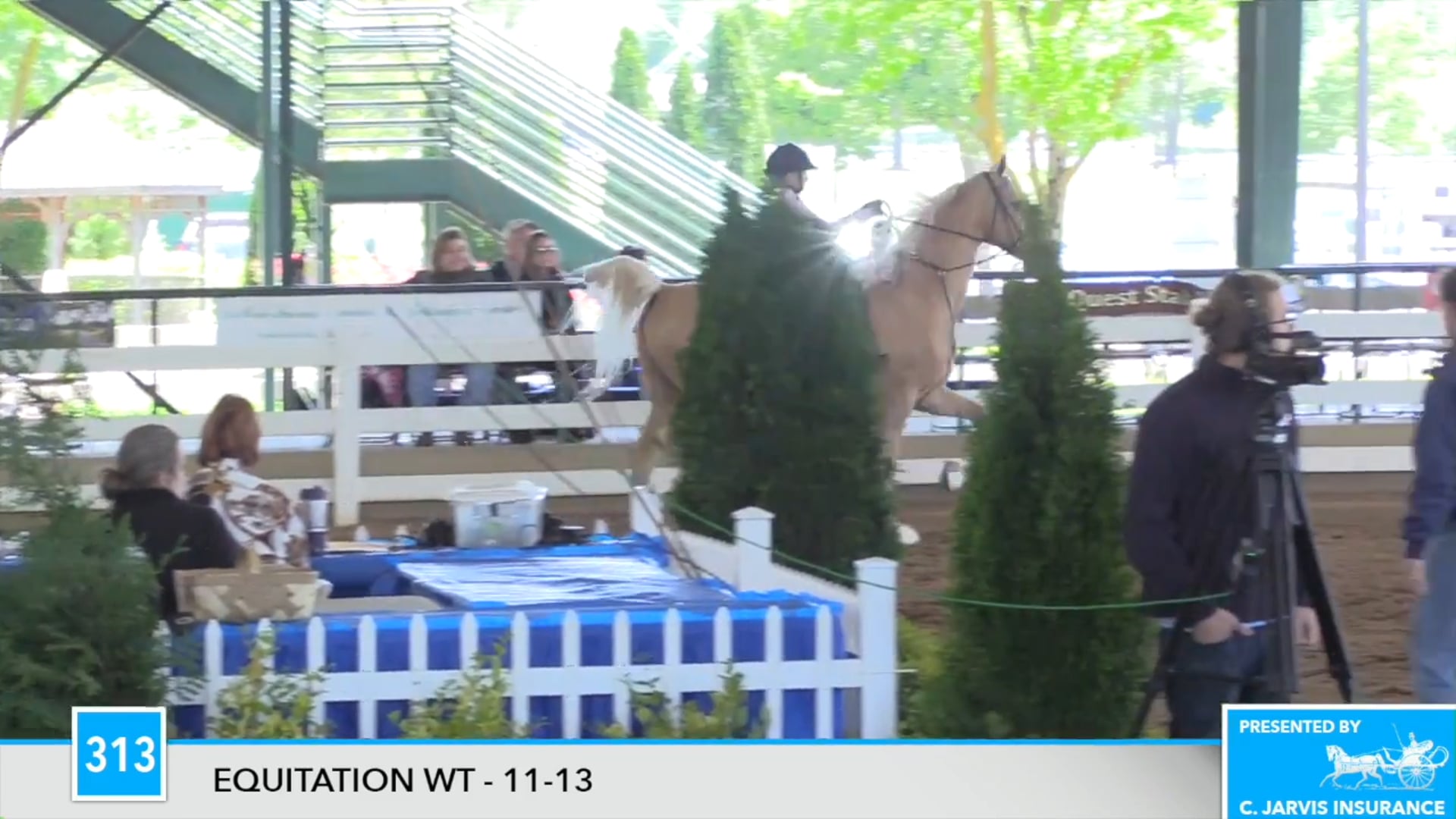 DC17 - Brooke Taylor