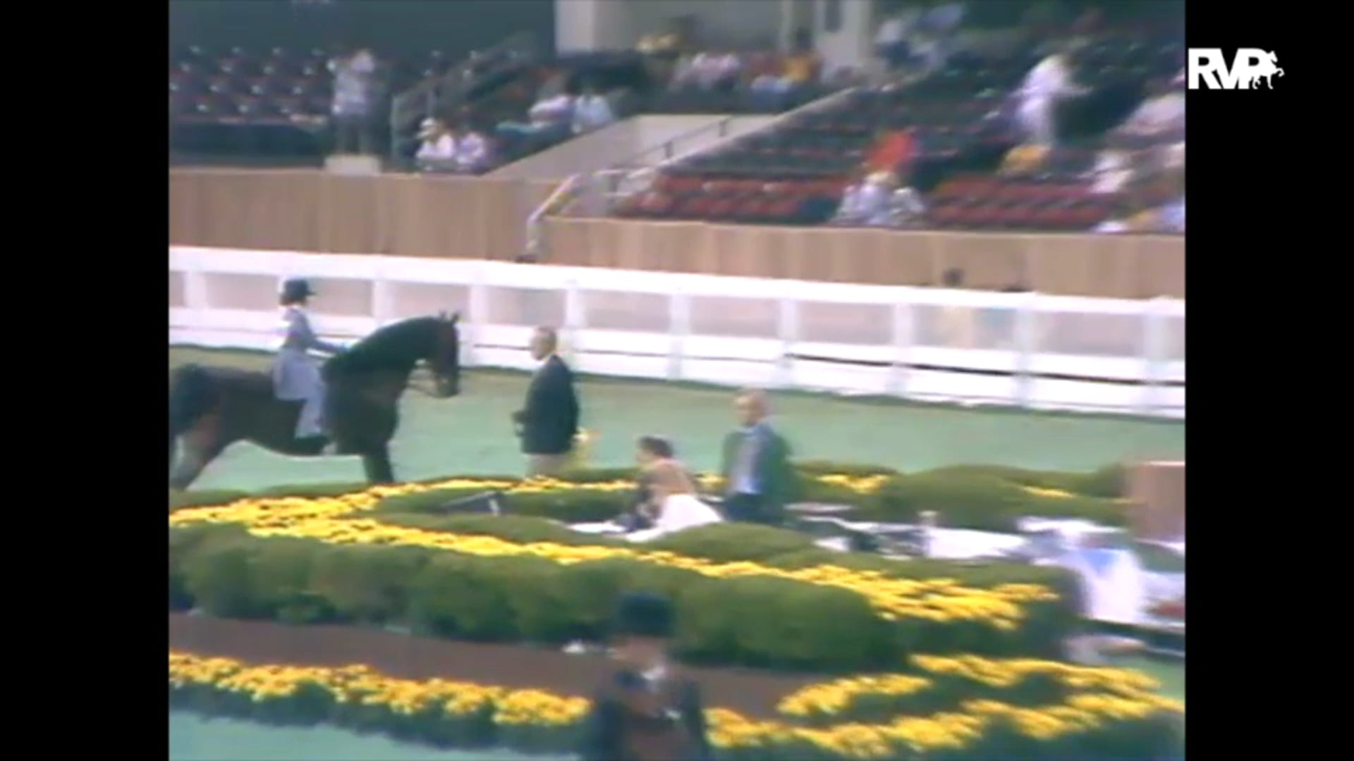 1989 WCHS Class 81A Equitation - UPHA Challenge
Walk - Trot 8 & Under Division 2