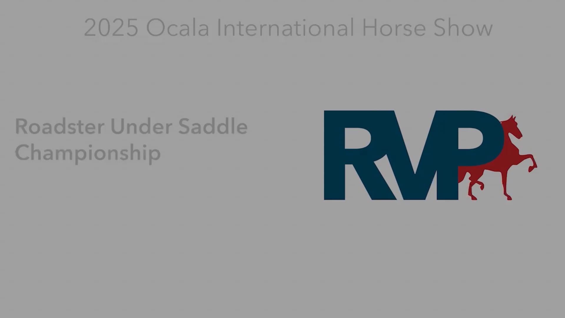 OI25 - Class 84 - Roadster Under Saddle Championship