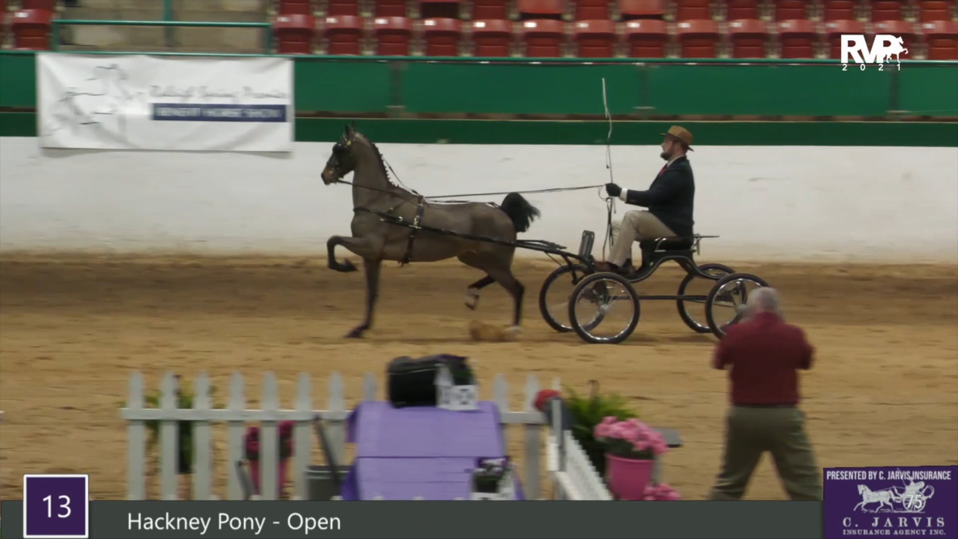 RSP21 - Class 13 - Hackney Pony Open