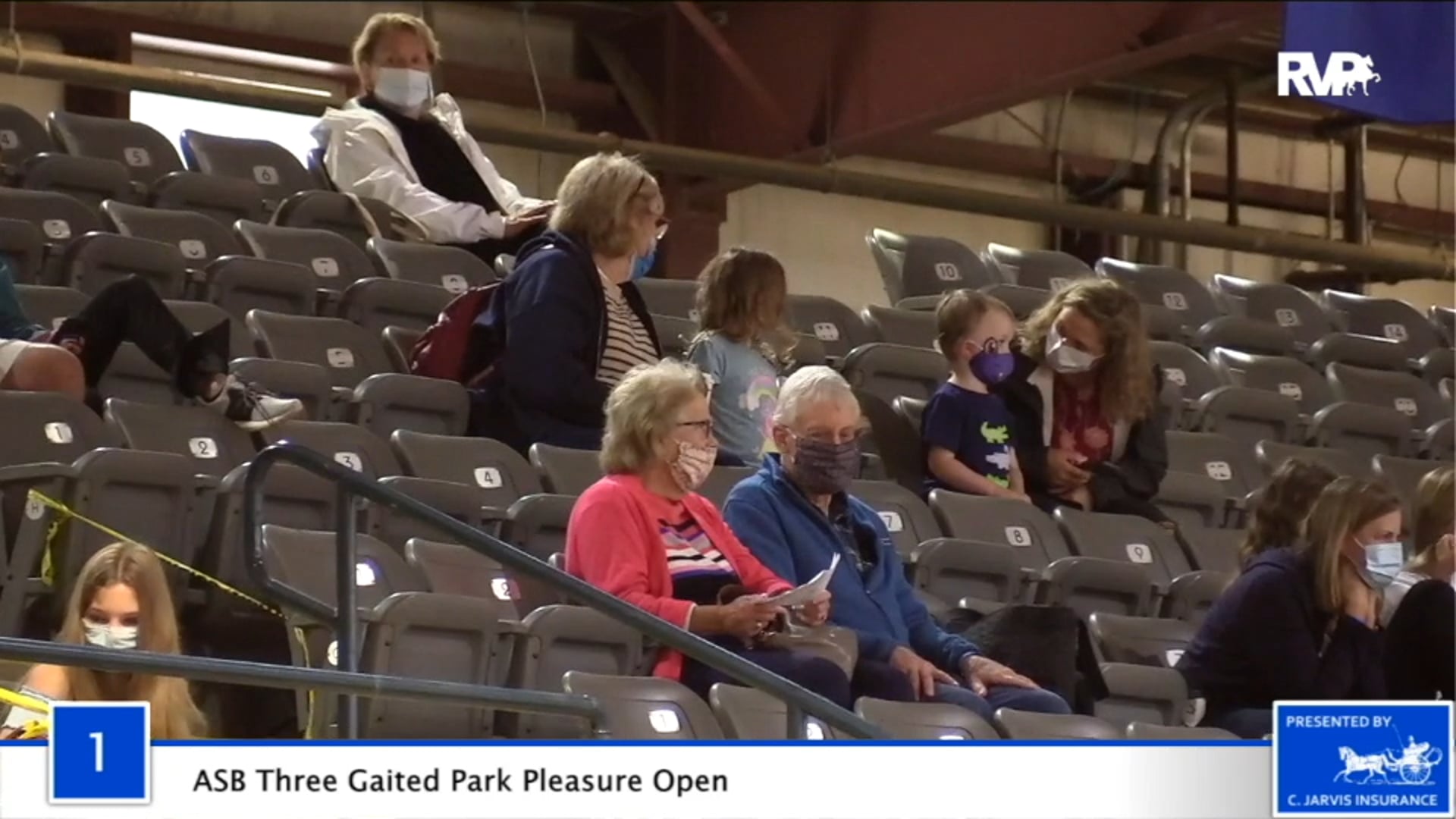 2020 BB - Class 1 ASB Three Gaited Park Pleasure
Open