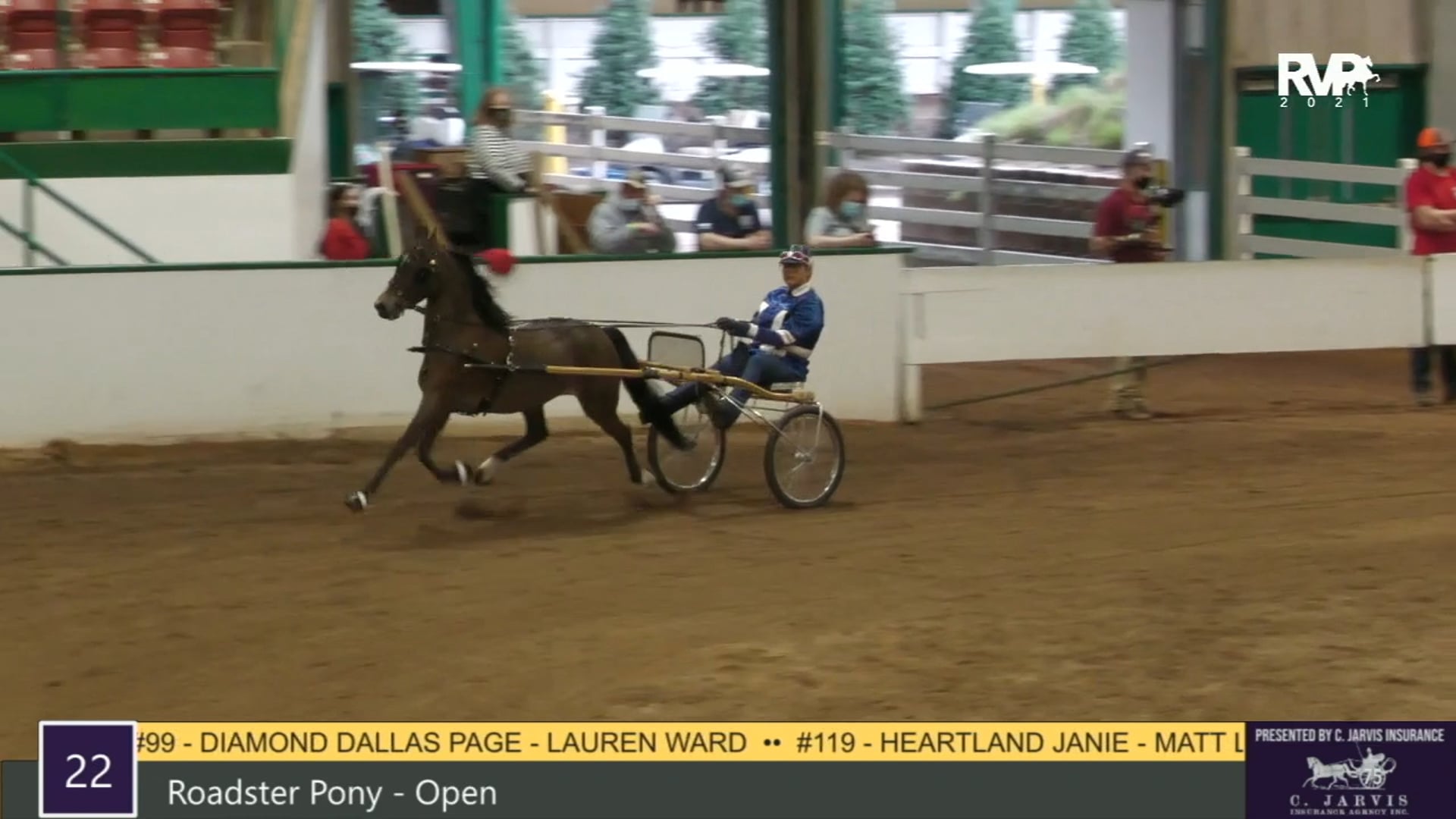 RSP21 - Class 22 - Roadster Pony Open