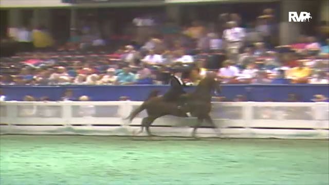 1992 WCHS Class 75 Junior Exhibitor T...