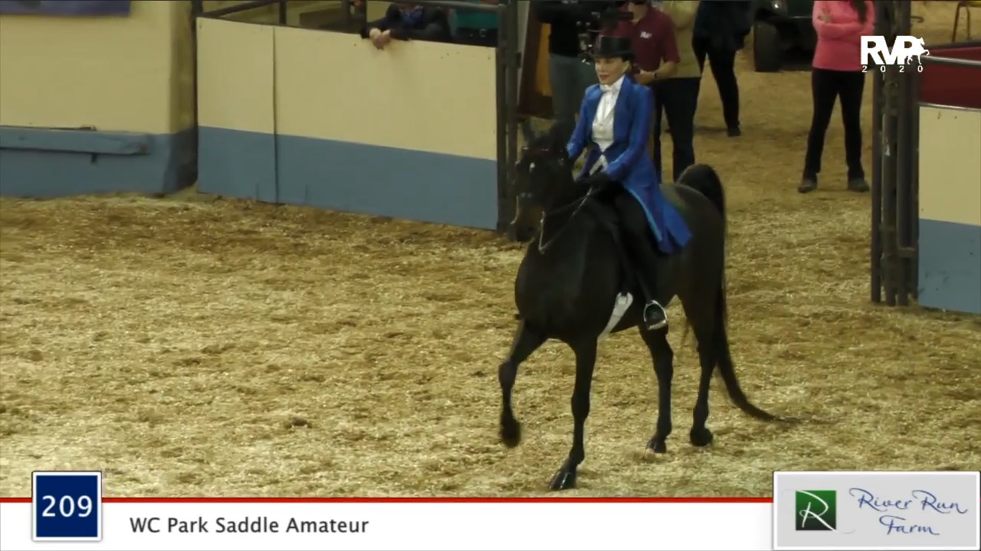 2020 MGN - Class 209 WC Park Saddle Amateur