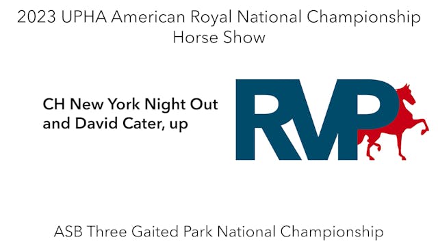 AR23 - Class 189 - CH New York Night ...