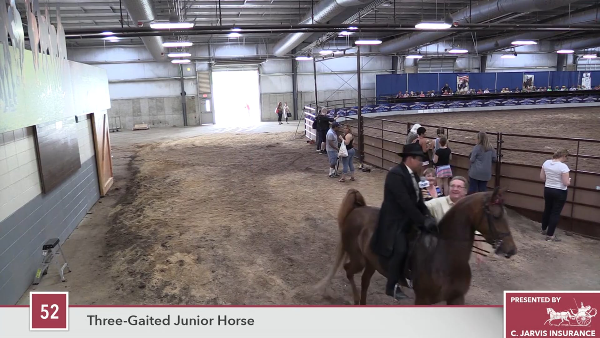 MC16 - Dreamacre's Lady Isabella