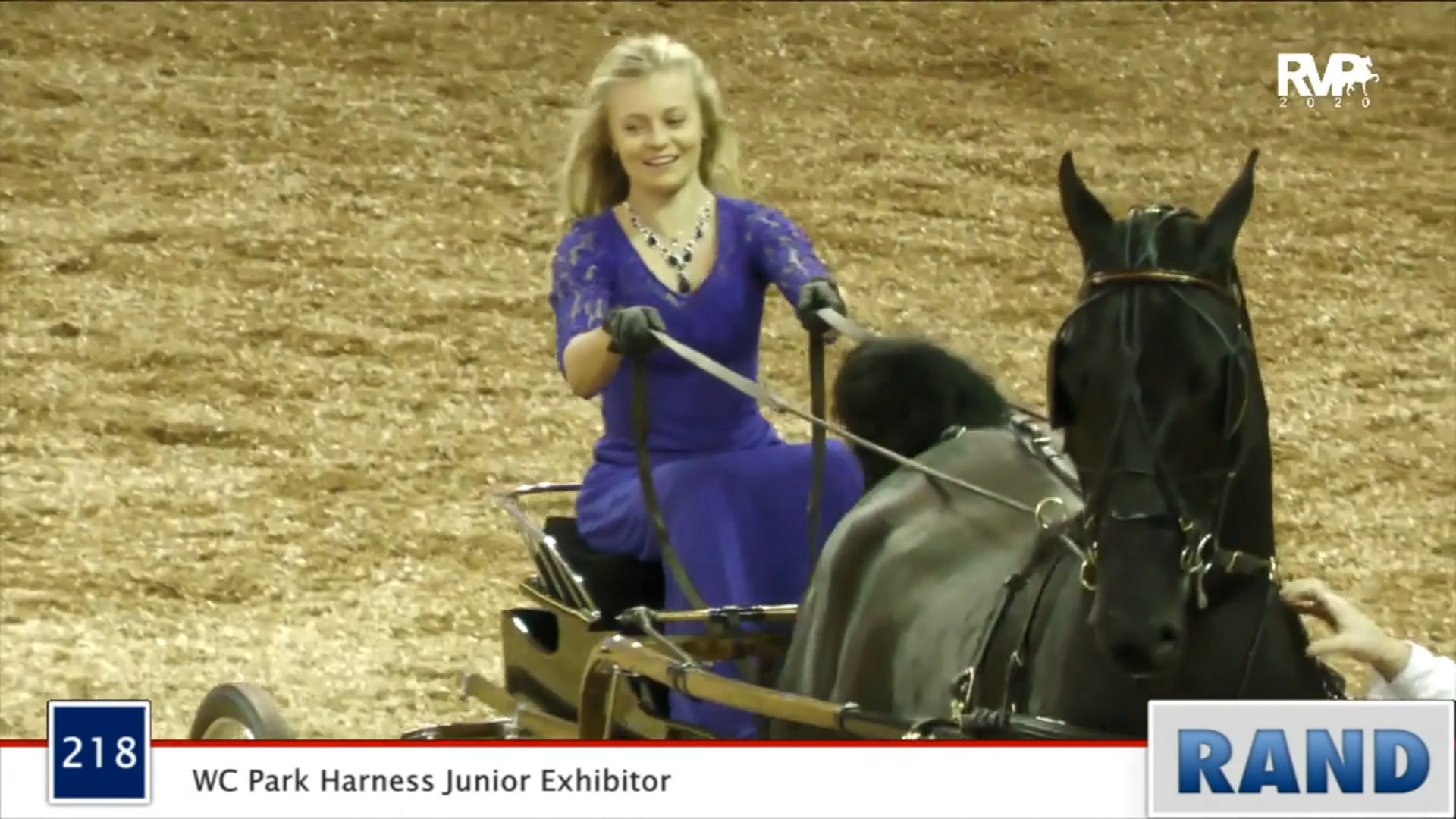 2020 MGN - Class 218 WC Park Harness Junior Exhibitor