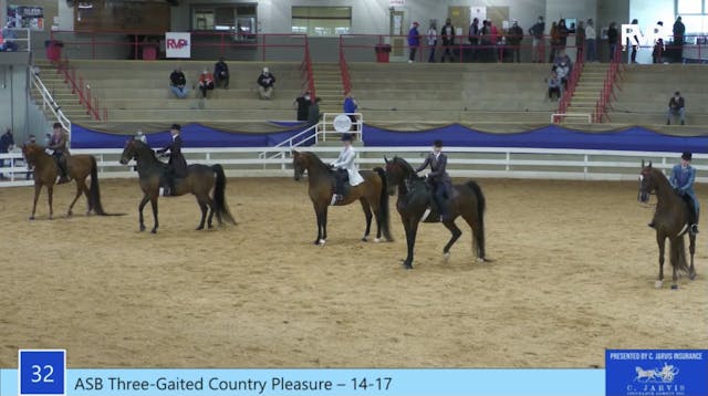 2021 Asheville Saddlebred Classic - T...