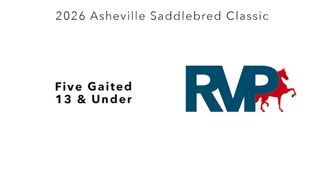 ASC26 - Class 47 - FIve Gaited 13 & U...
