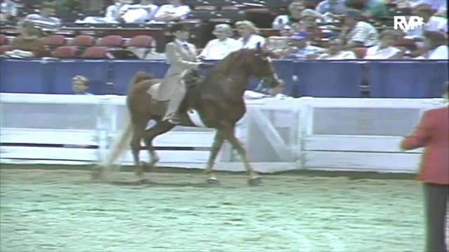 1991 WCHS Class 157 Junior Exhibitor ...