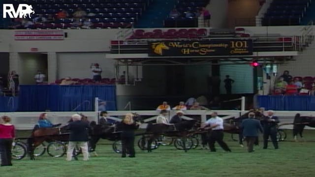 2004 World's Championship Horse Show ...