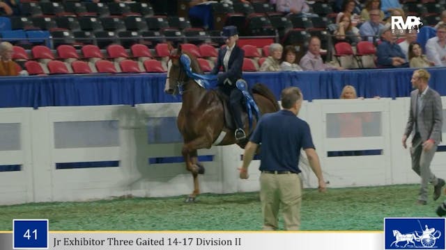 WCHS25 - Class 41 - Undulata's All th...