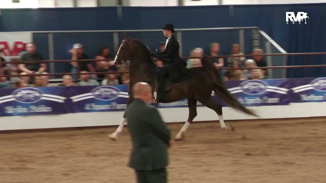 MC24 - Class 32 - Park Three Gaited Open