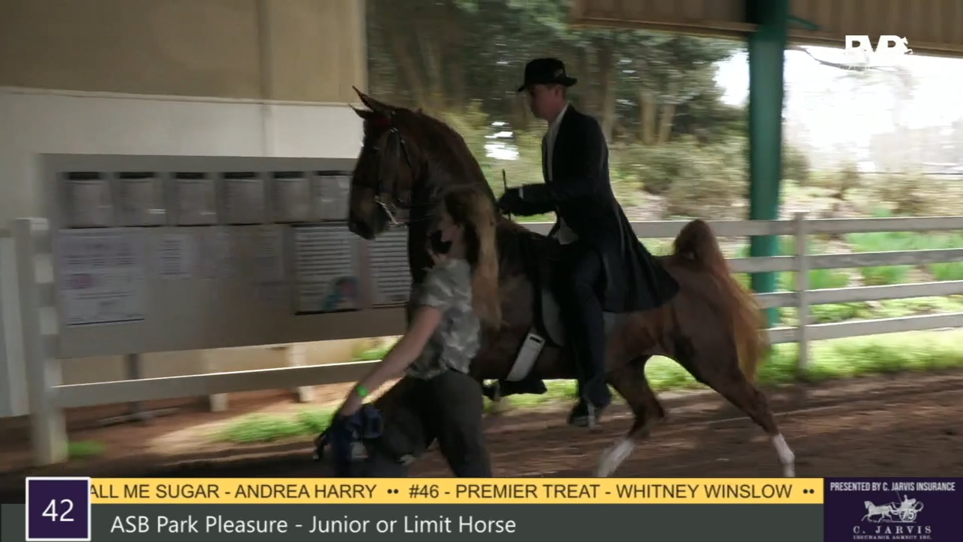 RSP21 - Class 42 - ASB Park Pleasure Junior or 
Limit Horse