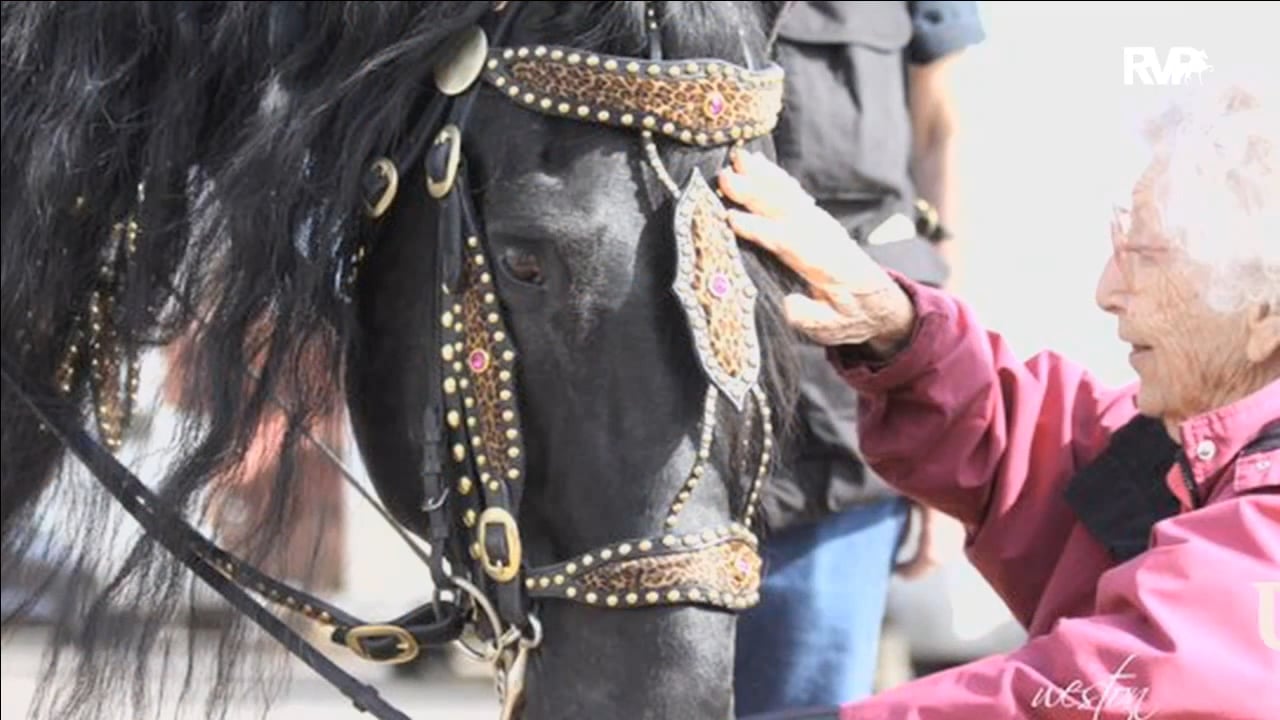 ALCB16 - Saturday Evening