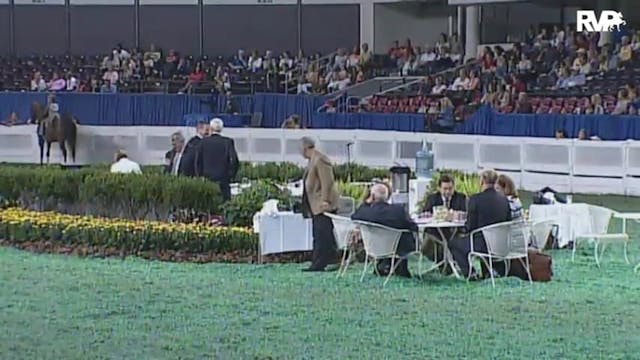 2010 World's Championship Horse Show ...