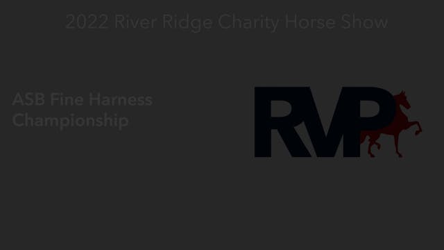 RR22 - Class 141 -  ASB Fine Harness ...