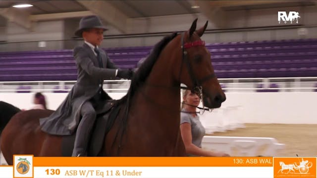 CC24 - Class 130 - ASB Walk-Trot Equi...