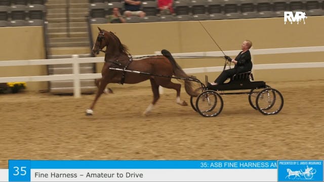 KFC23 - Class 35 - Fine Harness Amateur
