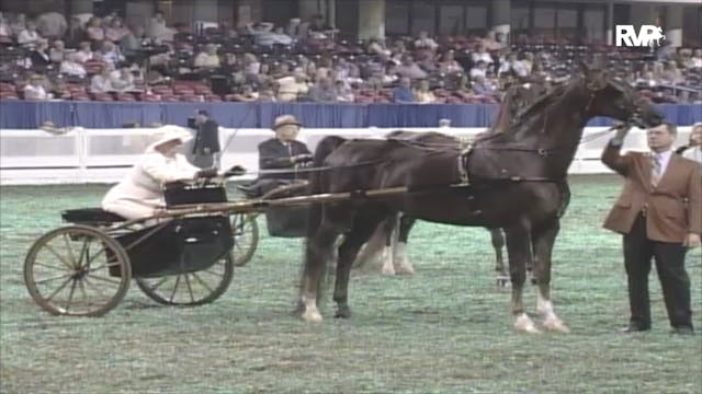 2006 WCHS Class 186 ASB Adult Show Pl...