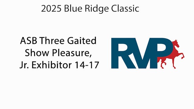 BRC25 - Class 3 - ASB Three Gaited Sh...
