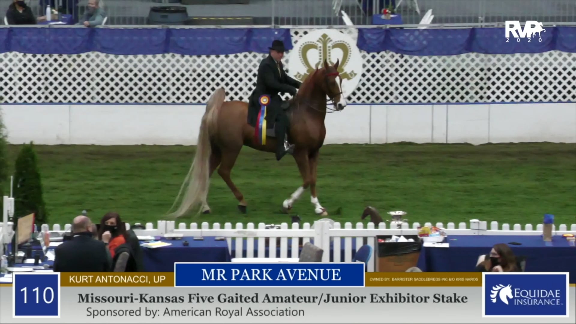 2020 AR - Class 110 MO:KS Amateur:Junior Exhibitor
Five Gaited Stake