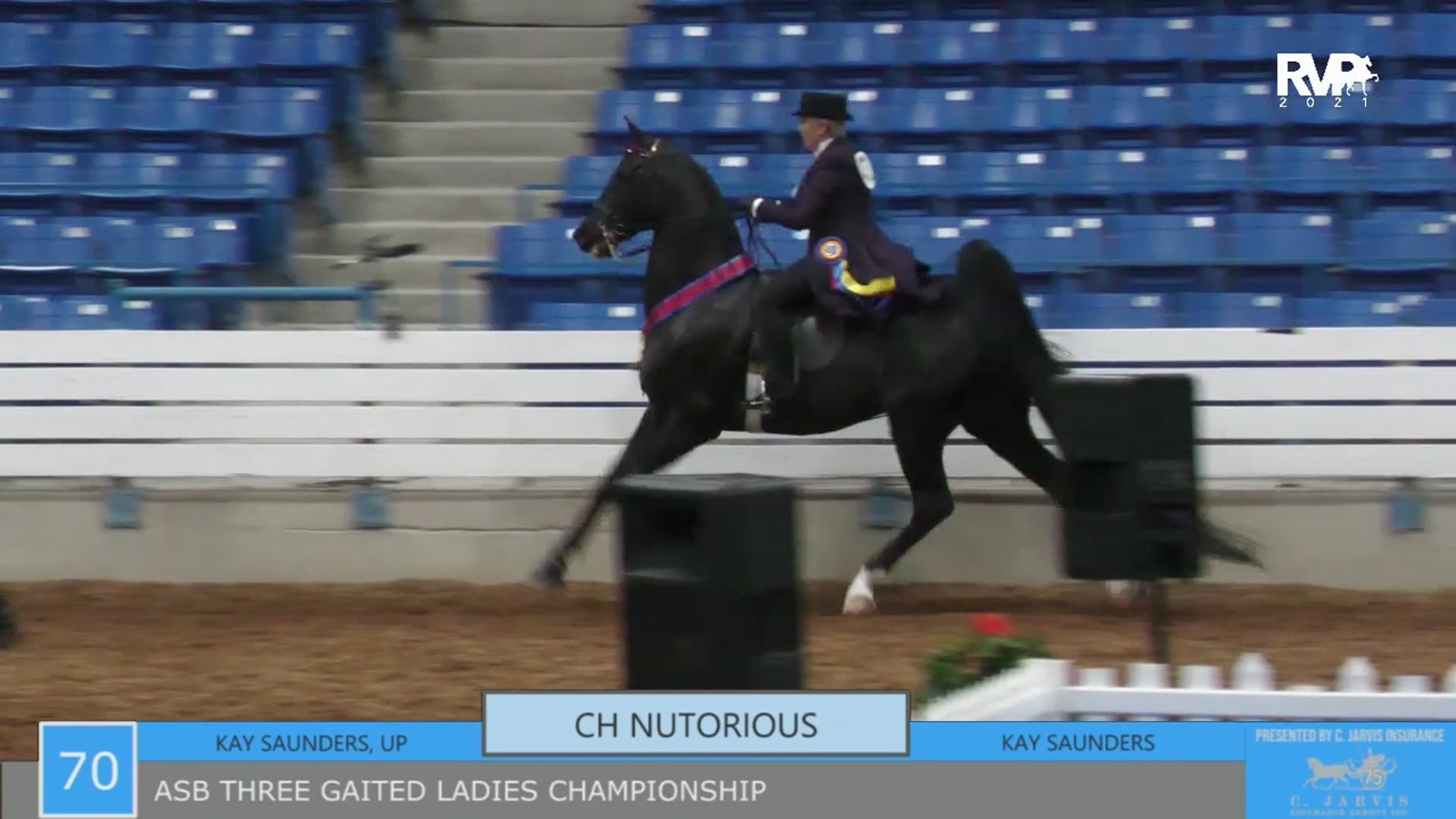 SSSF21 - Class 70 - ASB Three Gaited Ladies Championship