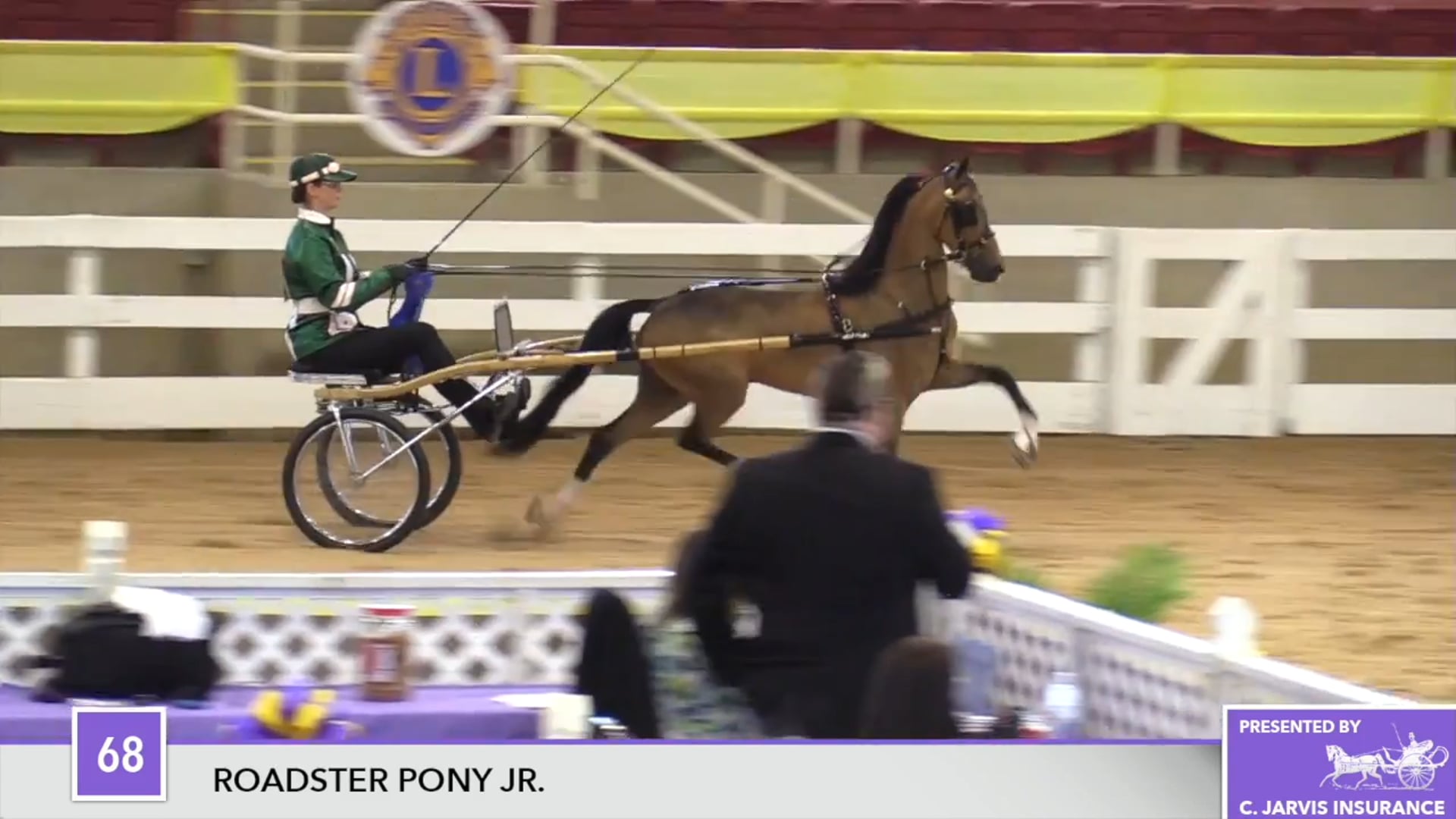 ALCB17 - Heartland Beach Boy 