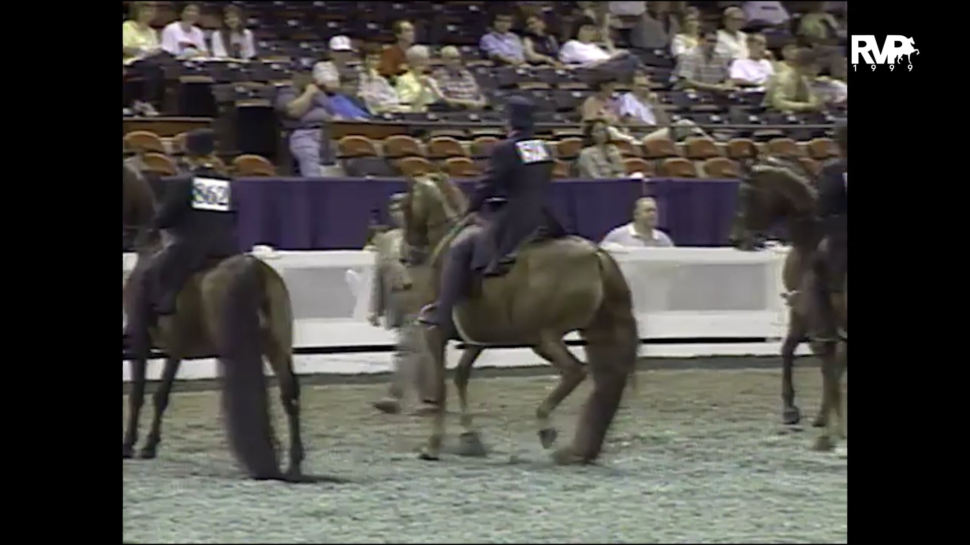 1999 WCHS - Class 134 ASB Three Gaited Country Pleasure Adult 41 & Over