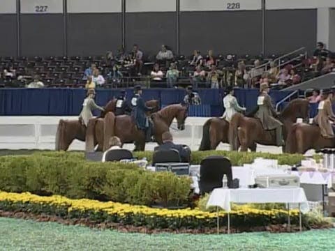 2008 WCHS Class 75 Junior Exhibitor 1...