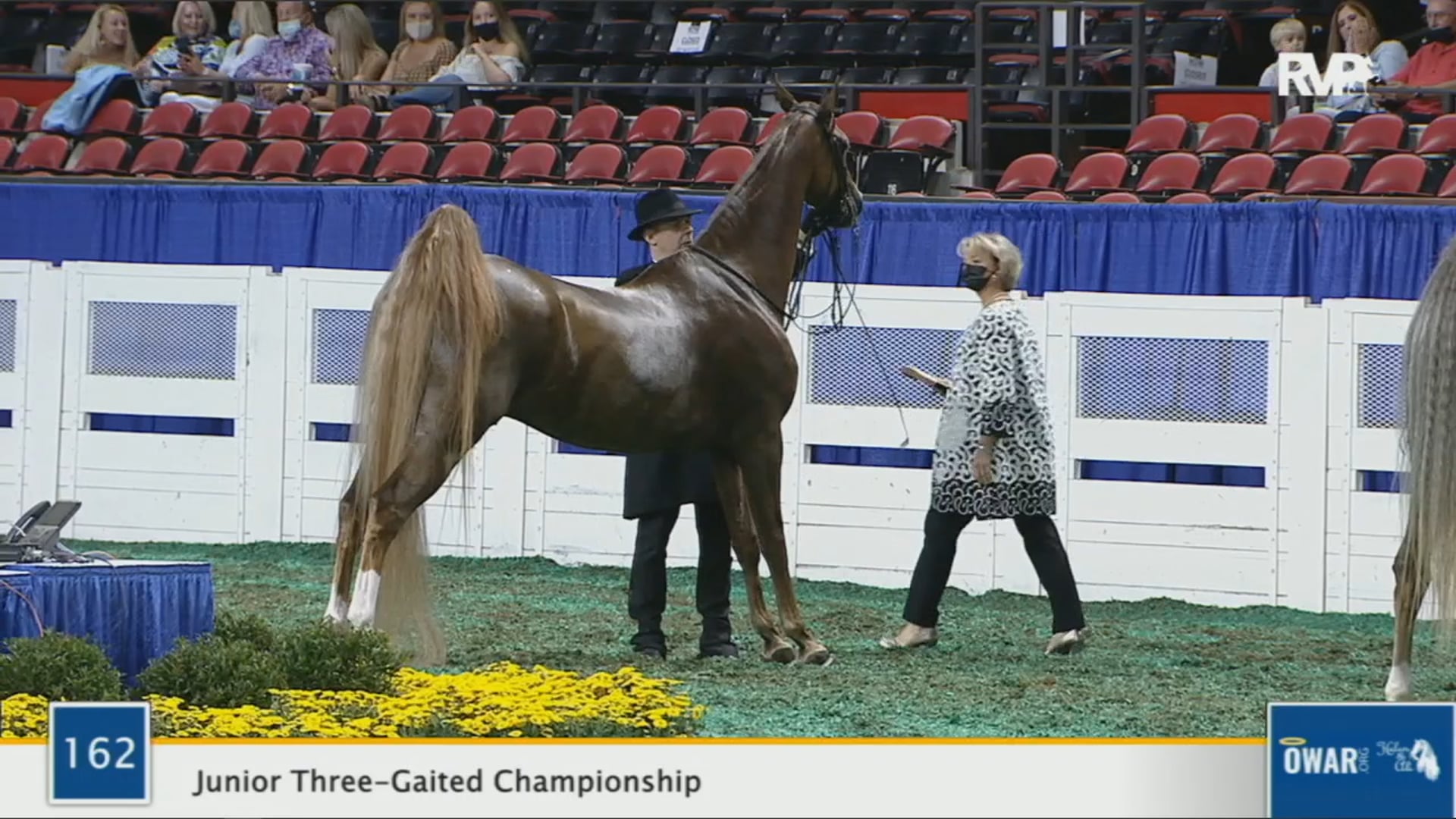 WCHS 2020 Class 162 - Junior Three-Gaited Championship