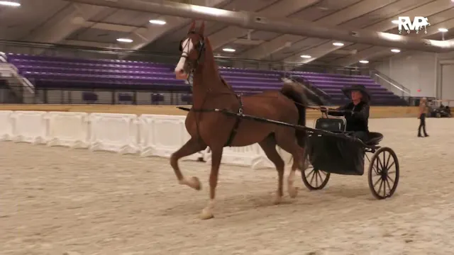 CC26 - Class 161 - ASB Show Pleasure ...