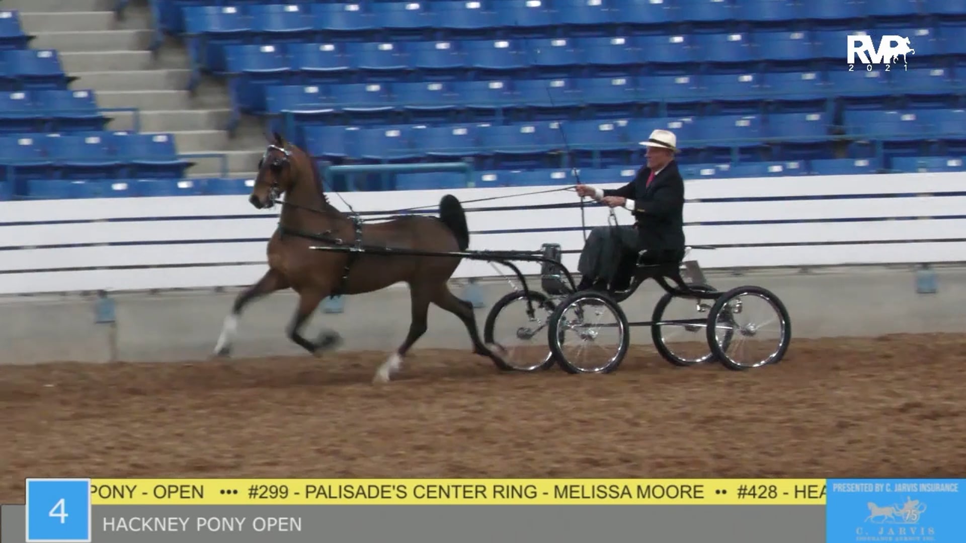 SSSF21 - Class 4 - Hackney Pony Open