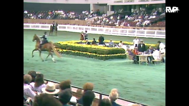 1988 WCHS Class 110 Equitation - Kent...
