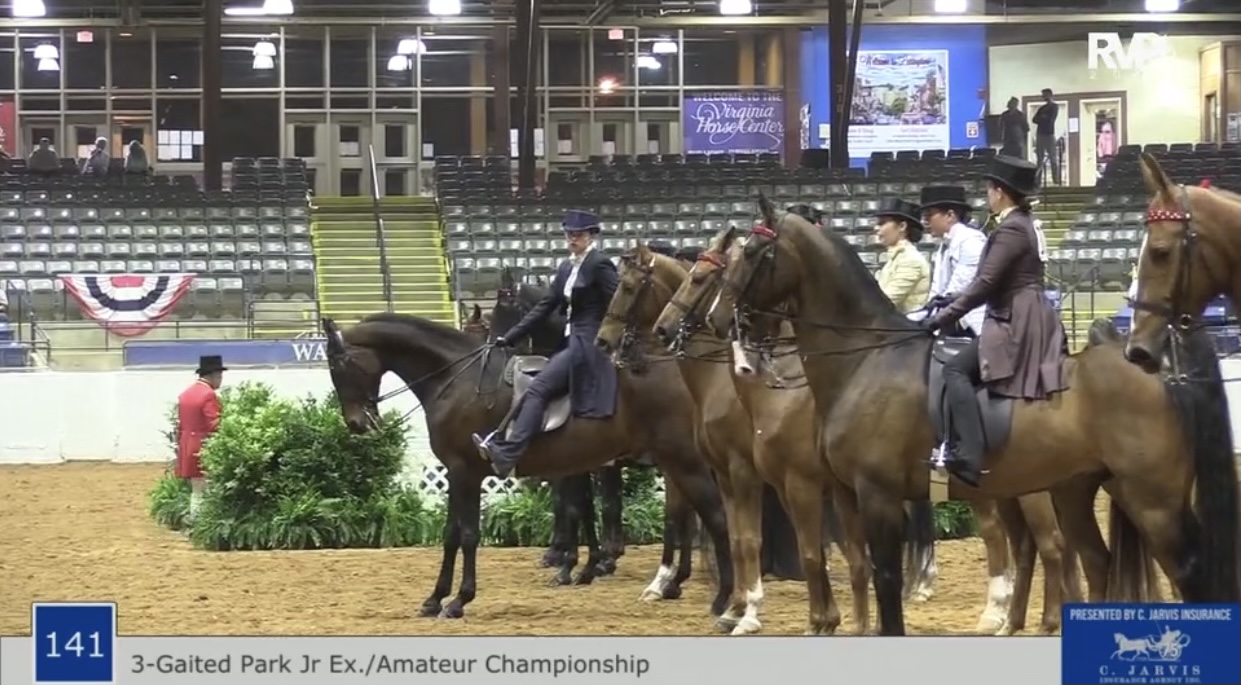 BB21 - Class 141 - Amateur-Junior Exhibitor Three Gaited Park Championship