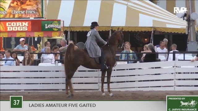 2016 RC - Class 37 Ladies Amateur Fiv...