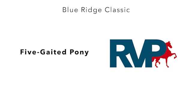 BR24 - Class 80 - FIve-Gaited Pony