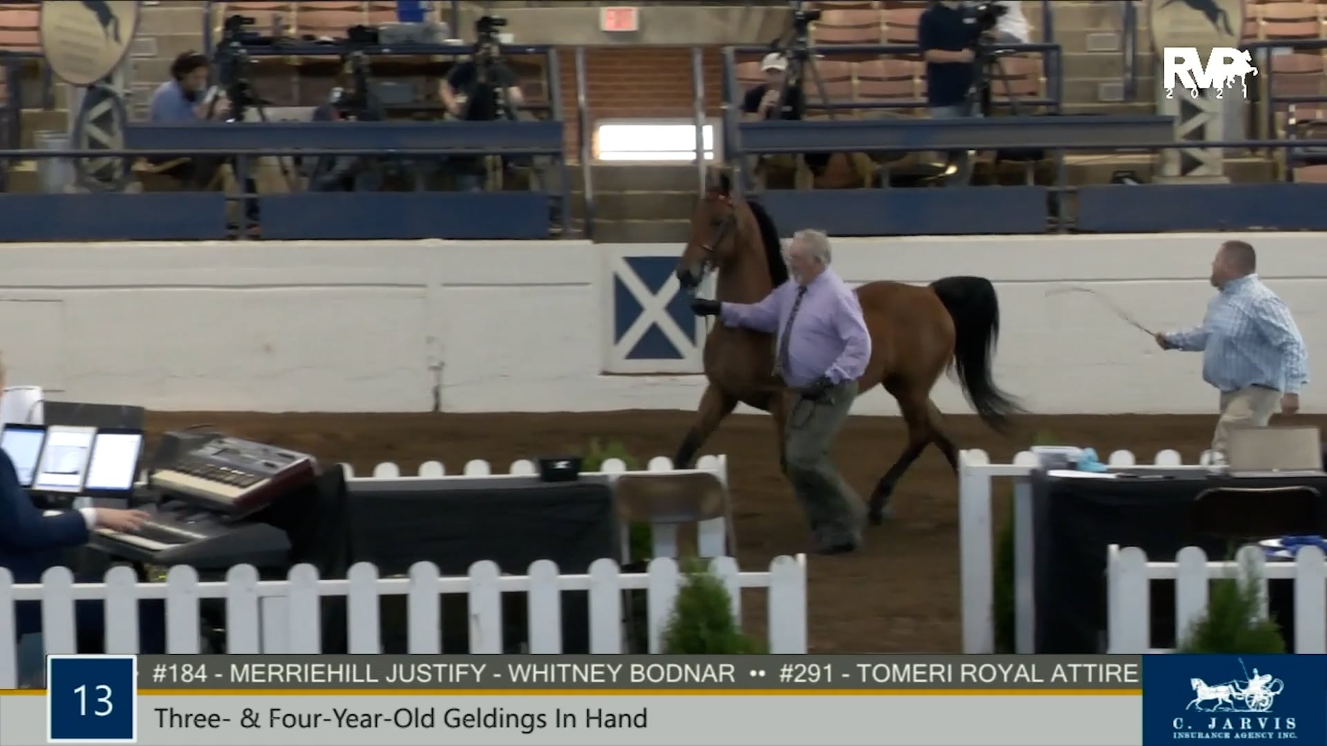 MJ21 - Class 13 - Three & Four Year Old Geldings In Hand