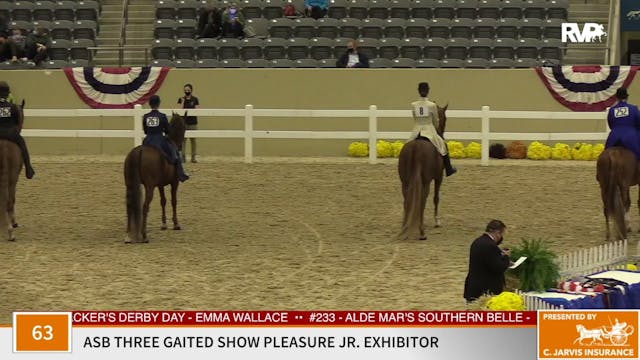 KFC 2020 - Class 63 ASB Three Gaited ...