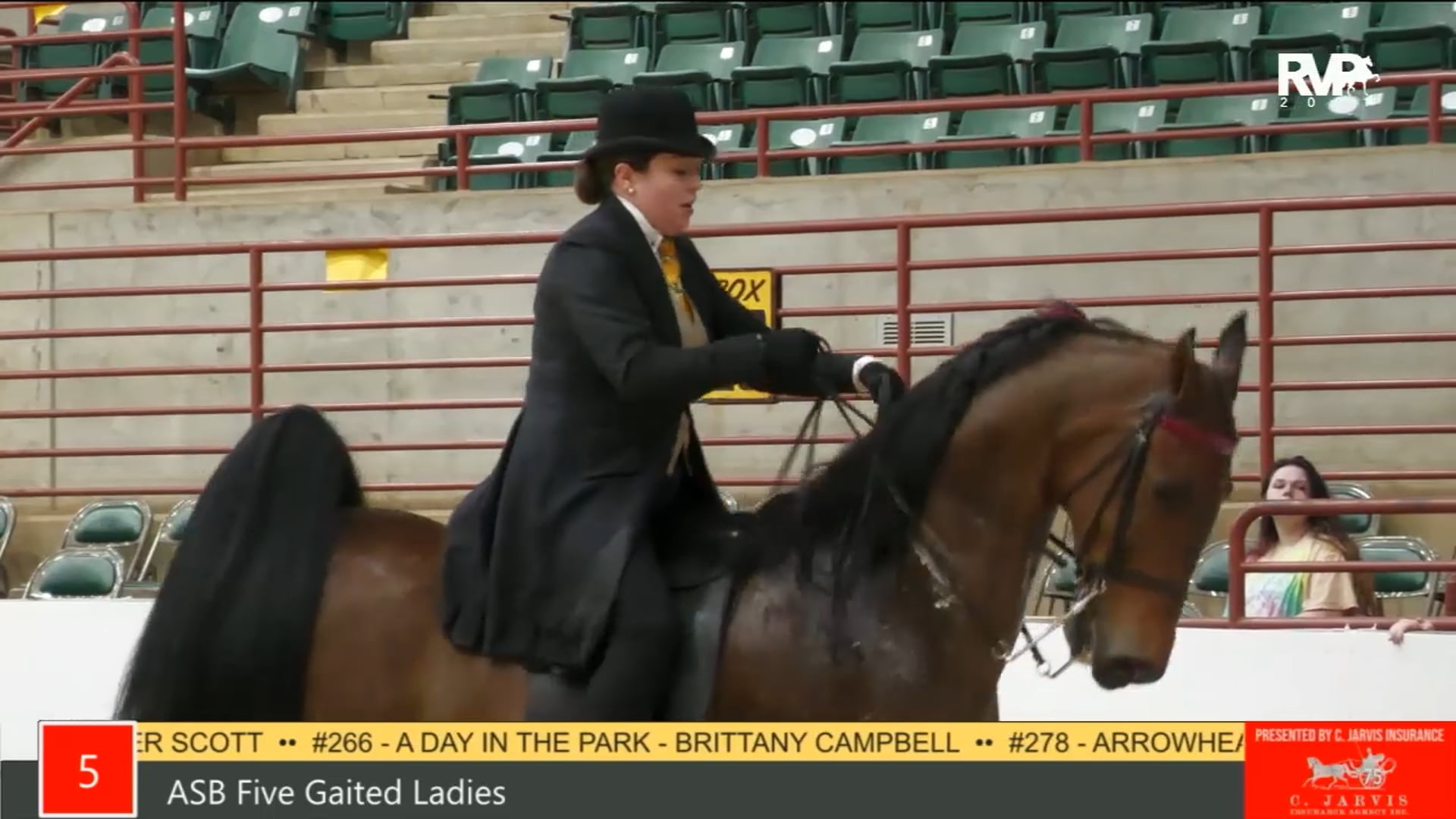 PA21 - Class 5 ASB Five Gaited Ladies