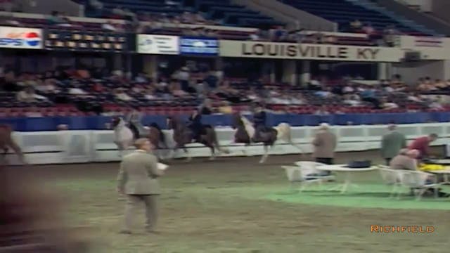 2002 WCHS Class 81 Five Gaited Show P...
